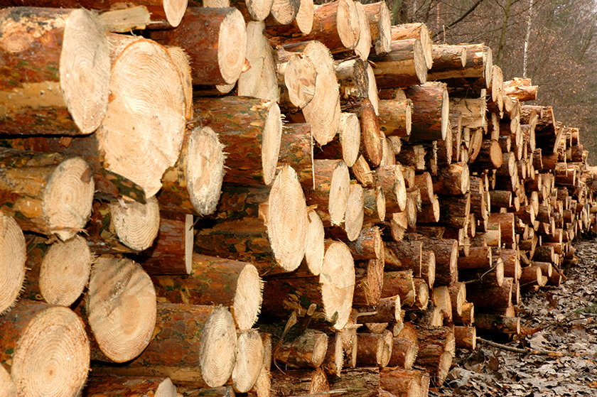 Holz richtig lagern. Wir geben Ihnen 8 Tipps. Unsere 8 Tipps zum richtigen Lagern von Holz.